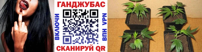Бошки Шишки OG Kush  Коломна 